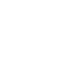 The Aesthetic Society